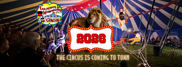 C&M Circus